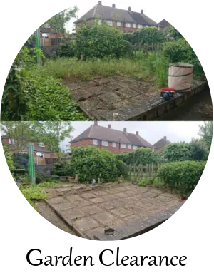 garden clearance