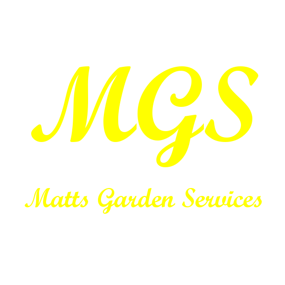 MGS logo